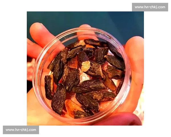 咖啡比赛中的创新技艺与艺术呈现探讨与挑战